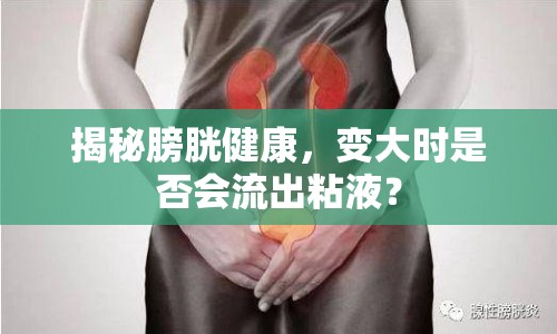 揭秘膀胱健康，變大時是否會流出粘液？