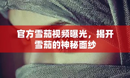 官方雪茄視頻曝光，揭開(kāi)雪茄的神秘面紗