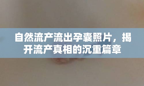 自然流產(chǎn)流出孕囊照片，揭開流產(chǎn)真相的沉重篇章