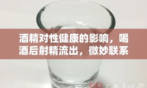 酒精對性健康的影響，喝酒后射精流出，微妙聯(lián)系需警惕