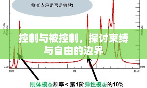 控制與被控制，探討束縛與自由的邊界