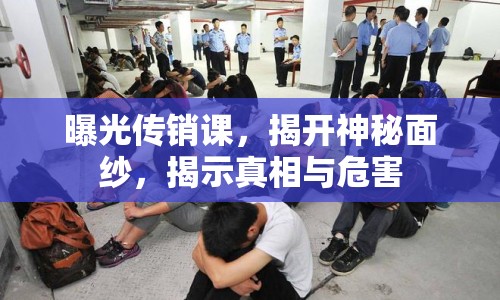 曝光傳銷課，揭開神秘面紗，揭示真相與危害