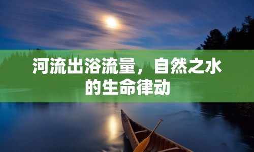 河流出浴流量，自然之水的生命律動(dòng)