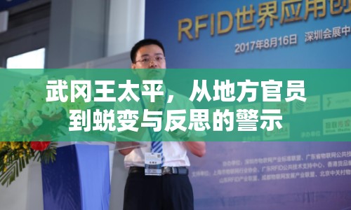 武岡王太平，從地方官員到蛻變與反思的警示