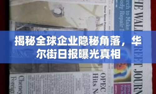揭秘全球企業(yè)隱秘角落，華爾街日?qǐng)?bào)曝光真相