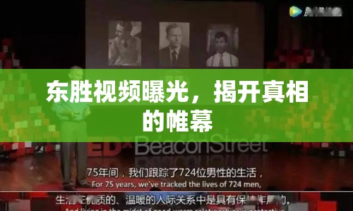 東勝視頻曝光，揭開(kāi)真相的帷幕