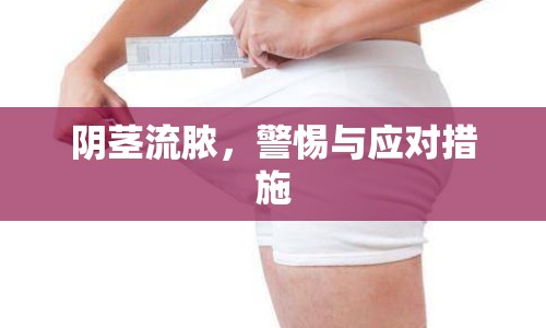 陰莖流膿，警惕與應(yīng)對(duì)措施