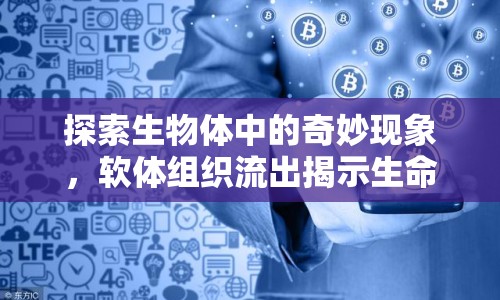 探索生物體中的奇妙現(xiàn)象，軟體組織流出揭示生命奧秘