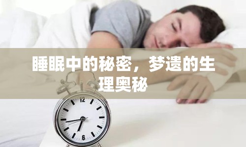 睡眠中的秘密，夢遺的生理奧秘