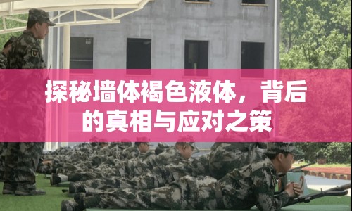 探秘墻體褐色液體，背后的真相與應(yīng)對之策