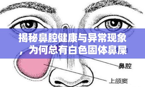 揭秘鼻腔健康與異?，F(xiàn)象，為何總有白色固體鼻屎流出？
