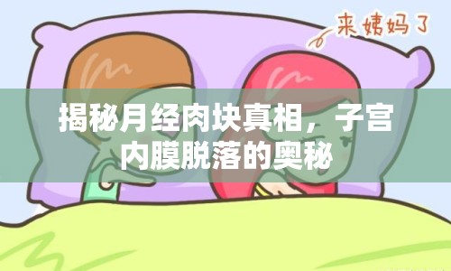 揭秘月經(jīng)肉塊真相，子宮內(nèi)膜脫落的奧秘