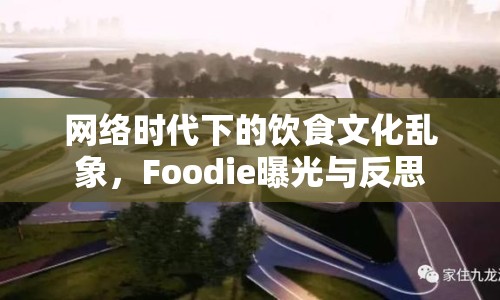 網(wǎng)絡時代下的飲食文化亂象，F(xiàn)oodie曝光與反思