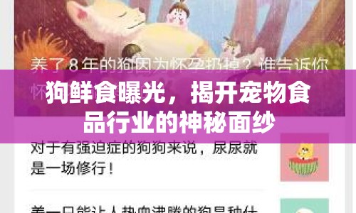 狗鮮食曝光，揭開寵物食品行業(yè)的神秘面紗