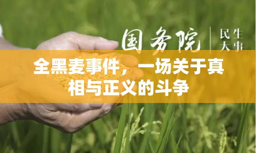 全黑麥?zhǔn)录?，一場關(guān)于真相與正義的斗爭