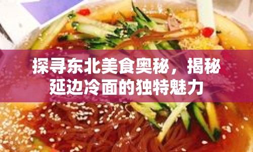 探尋東北美食奧秘，揭秘延邊冷面的獨特魅力