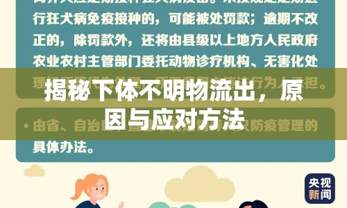 揭秘下體不明物流出，原因與應(yīng)對(duì)方法