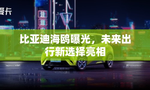 比亞迪海鷗曝光，未來出行新選擇亮相
