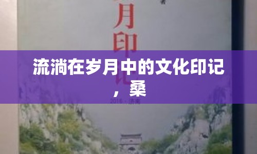 流淌在歲月中的文化印記，桑