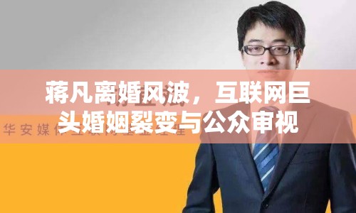 蔣凡離婚風(fēng)波，互聯(lián)網(wǎng)巨頭婚姻裂變與公眾審視