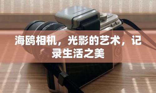 海鷗相機，光影的藝術，記錄生活之美