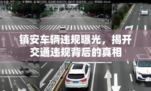 鎮(zhèn)安車輛違規(guī)曝光，揭開交通違規(guī)背后的真相