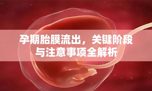 孕期胎膜流出，關鍵階段與注意事項全解析