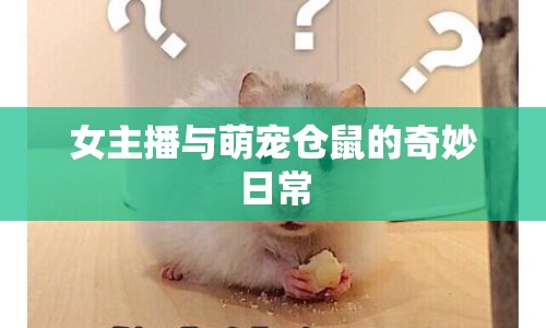 女主播與萌寵倉(cāng)鼠的奇妙日常
