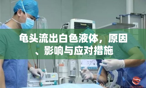 龜頭流出白色液體，原因、影響與應對措施