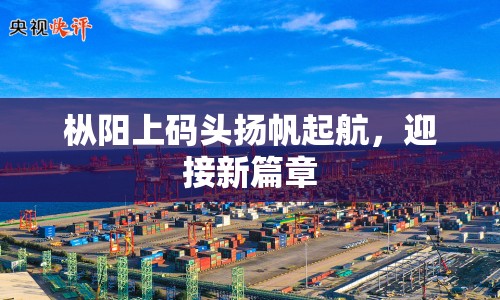 樅陽上碼頭揚(yáng)帆起航，迎接新篇章
