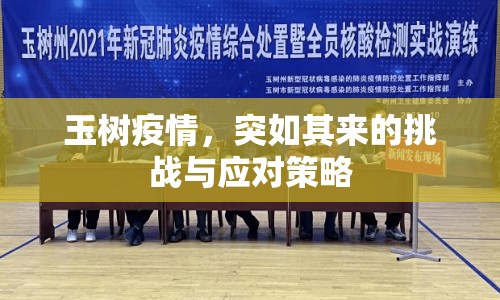 玉樹疫情，突如其來的挑戰(zhàn)與應(yīng)對(duì)策略