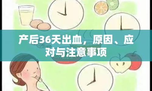 產(chǎn)后36天出血，原因、應(yīng)對與注意事項(xiàng)