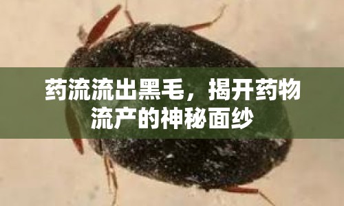 藥流流出黑毛，揭開藥物流產(chǎn)的神秘面紗