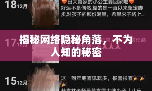 揭秘網(wǎng)絡(luò)隱秘角落，不為人知的秘密