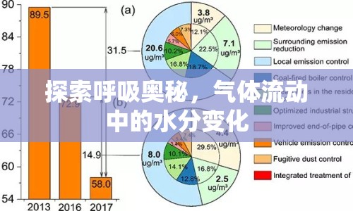 探索呼吸奧秘，氣體流動(dòng)中的水分變化