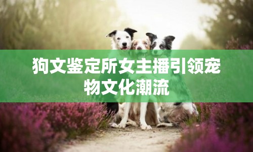 狗文鑒定所女主播引領(lǐng)寵物文化潮流