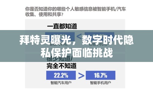 拜特靈曝光，數(shù)字時代隱私保護面臨挑戰(zhàn)