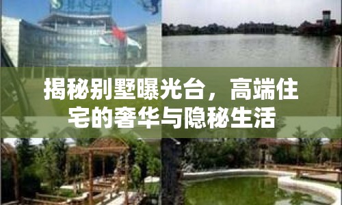 揭秘別墅曝光臺，高端住宅的奢華與隱秘生活