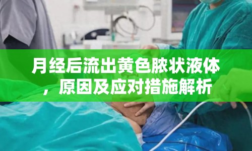 月經(jīng)后流出黃色膿狀液體，原因及應(yīng)對措施解析