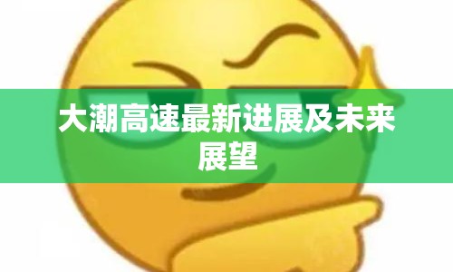 大潮高速最新進(jìn)展及未來(lái)展望