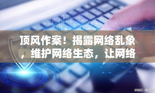 頂風(fēng)作案！揭露網(wǎng)絡(luò)亂象，維護(hù)網(wǎng)絡(luò)生態(tài)，讓網(wǎng)絡(luò)回歸清朗