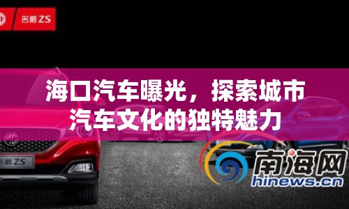?？谄嚻毓猓剿鞒鞘衅囄幕莫毺伧攘? class=