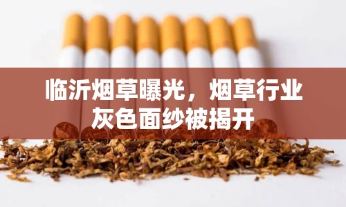 臨沂煙草曝光，煙草行業(yè)灰色面紗被揭開
