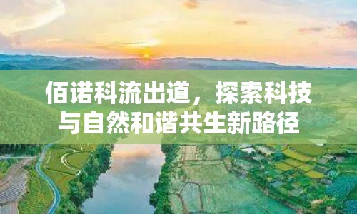 佰諾科流出道，探索科技與自然和諧共生新路徑
