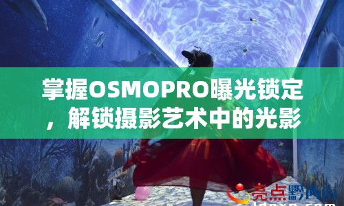 掌握OSMOPRO曝光鎖定，解鎖攝影藝術(shù)中的光影魔法