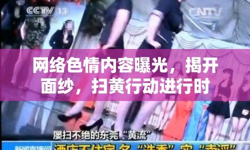 網(wǎng)絡(luò)色情內(nèi)容曝光，揭開面紗，掃黃行動(dòng)進(jìn)行時(shí)