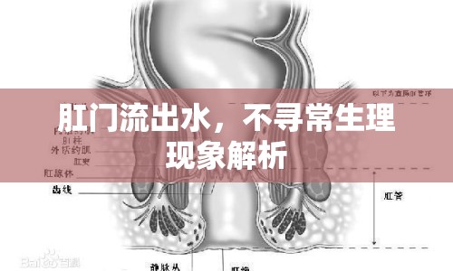 肛門流出水，不尋常生理現(xiàn)象解析
