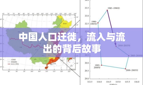 中國人口遷徙，流入與流出的背后故事