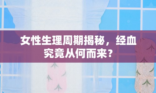 女性生理周期揭秘，經(jīng)血究竟從何而來？