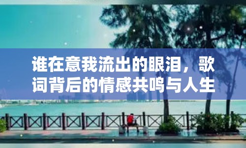 誰在意我流出的眼淚，歌詞背后的情感共鳴與人生哲理